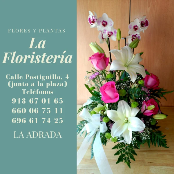 La Floristería La Adrada, plantas y flores para hogar y jardín